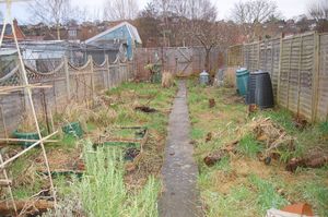 Garden- click for photo gallery
